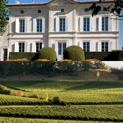 vignobles_hermouet_clos-du-roy_05 • Vindebacchus