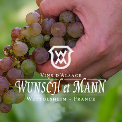 wunsch-et-mann-roi-clovis-riesling-04 • Vindebacchus