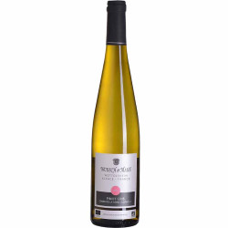 wunsch-et-mann-reine-clotilde-01 • Vindebacchus