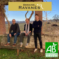domaine-ravanes-l-ibis-rouge-03 • Vindebacchus