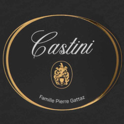 chateau-de-sannes-castini-blanc-2 • Vindebacchus