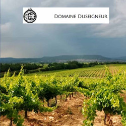 domaine-duseigneur-matteo-vignes • Vindebacchus