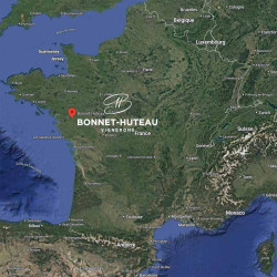 bonnet-huteau-pinot-gris-la-chapelle-heulin • Vindebacchus