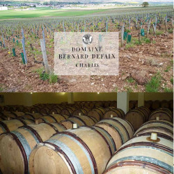 bernard-defaix-cote-lechet-domaine • Vindebacchus
