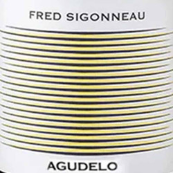 domaine-de-lr-agulero-etiquette • Vindebacchus