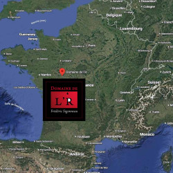 domaine-de-lr-equis-ne-sous-x-cravant-les-coteaux • Vindebacchus