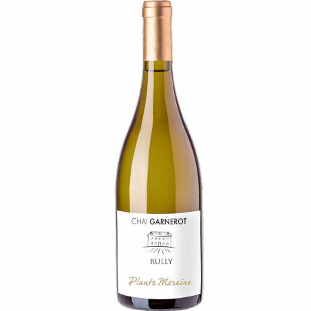 chateau-de-garnerot-plante-moraine-bouteille