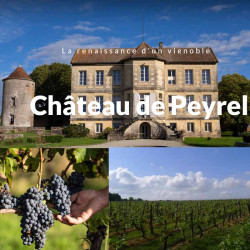 chateau-de-peyrel-bulles-domaine • Vindebacchus