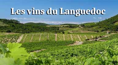 les-vins-du-languedoc