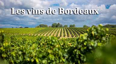 les-vins-de-bordeaux