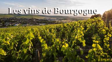 les-vins-deèbourgogne