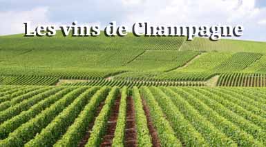 les-vins-de-champagne