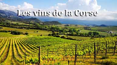 les-vins-de-la-corse