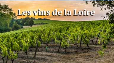 les-vins-de-la-loire