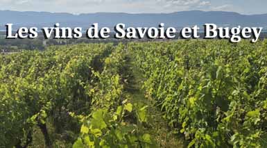 les-vins-de-savoie-bugey