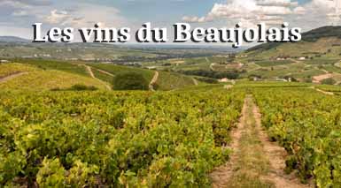 les-vins-du-beaujolais