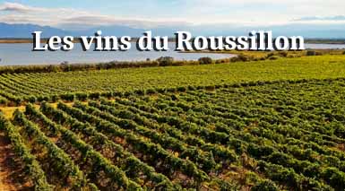les-vins-du-roussillon